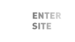 enter site